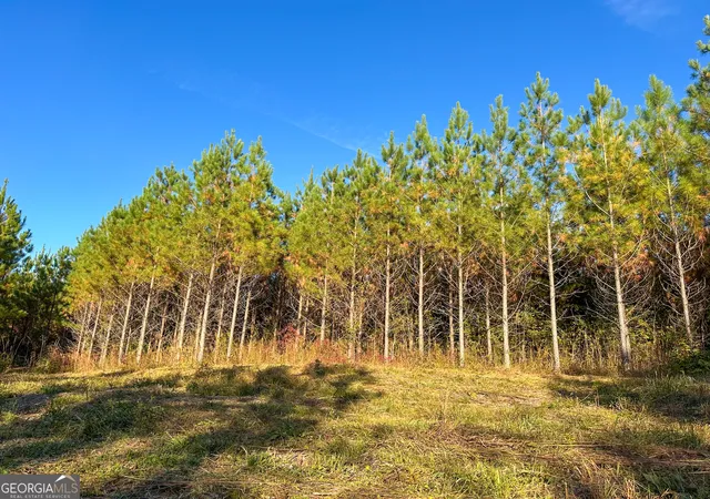 1st image of 492 Acres Jordon Rd, Waverly Hall, GA 31831 | MLS# 10806809