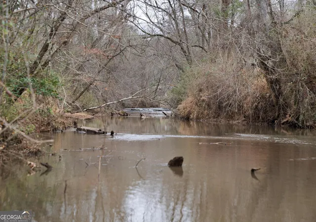 5th image of 0 S 42 Hwy, Forsyth, GA 31029 | MLS# 10674088
