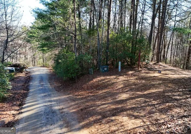 Homes for sale in Sautee Nacoochee, GA | Lot 1 Gold Valley Rd, Sautee Nacoochee, GA 30571 | MLS# 10792254