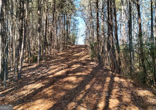 Homes for sale in Sautee Nacoochee, GA | Lot 1 Gold Valley Rd, Sautee Nacoochee, GA 30571 | MLS# 10792254