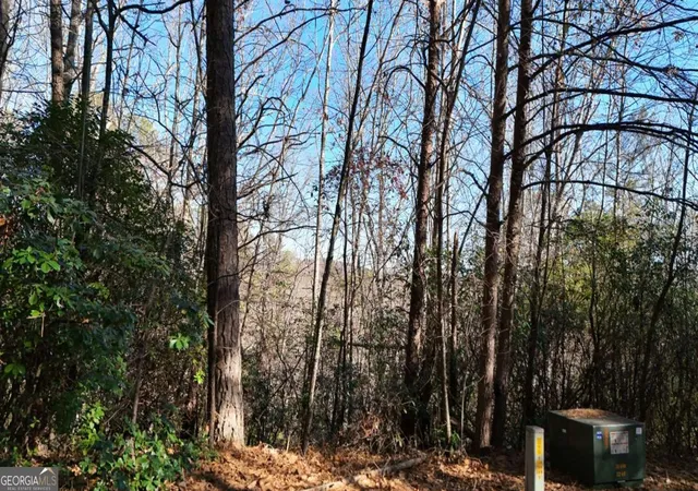 Homes for sale in Sautee Nacoochee, GA | Lot 1 Gold Valley Rd, Sautee Nacoochee, GA 30571 | MLS# 10792254