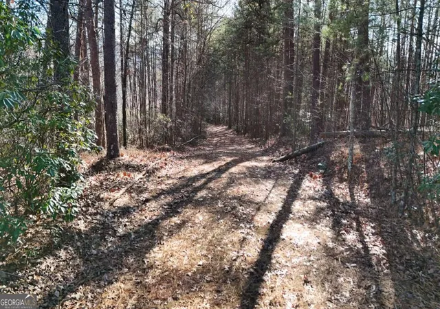 Homes for sale in Sautee Nacoochee, GA | Lot 1 Gold Valley Rd, Sautee Nacoochee, GA 30571 | MLS# 10792254