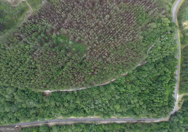 5th image of Lot 56 Waverly Ln, White Oak, GA 31568 | MLS# 10776381