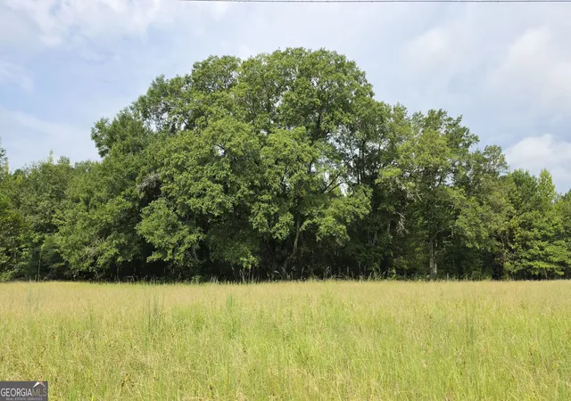 Land for sale at 0 Alvaton Rd, Gay, GA 30218 | MLS# 10835745