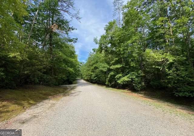 12th image of 0 Sara Ln #LOT 6, Sautee Nacoochee, GA 30571 | MLS# 10796718