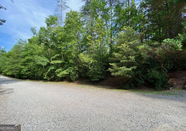 1st image of 0 Sara Ln #LOT 6, Sautee Nacoochee, GA 30571 | MLS# 10796718