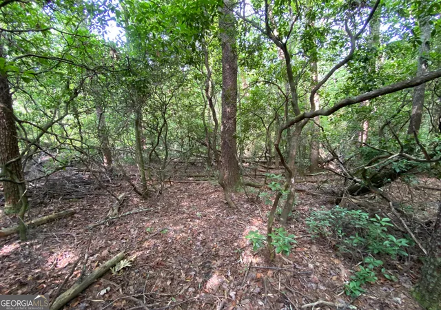 3rd image of 0 Sara Ln #LOT 6, Sautee Nacoochee, GA 30571 | MLS# 10796718