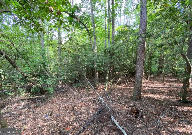 4th image of 0 Sara Ln #LOT 6, Sautee Nacoochee, GA 30571 | MLS# 10796718