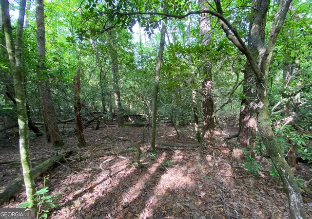 5th image of 0 Sara Ln #LOT 6, Sautee Nacoochee, GA 30571 | MLS# 10796718