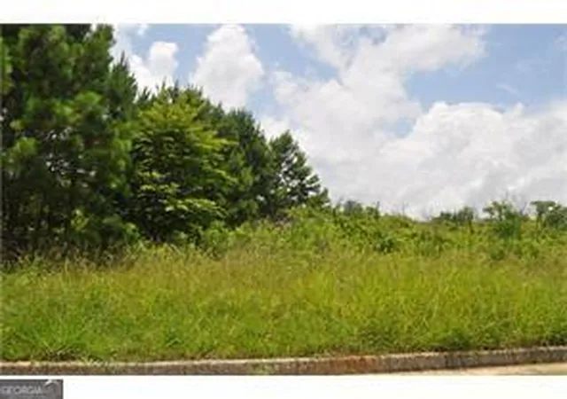 Photo 3 of Land for sale at 298 Randall Dr, Rockmart, GA 30153 | MLS# 10227024 | Listing updated on 2023-12-04