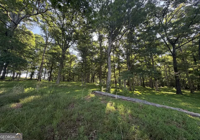 33rd image of 0 Jim Thomas Rd, Demorest, GA 30535 | MLS# 10768582