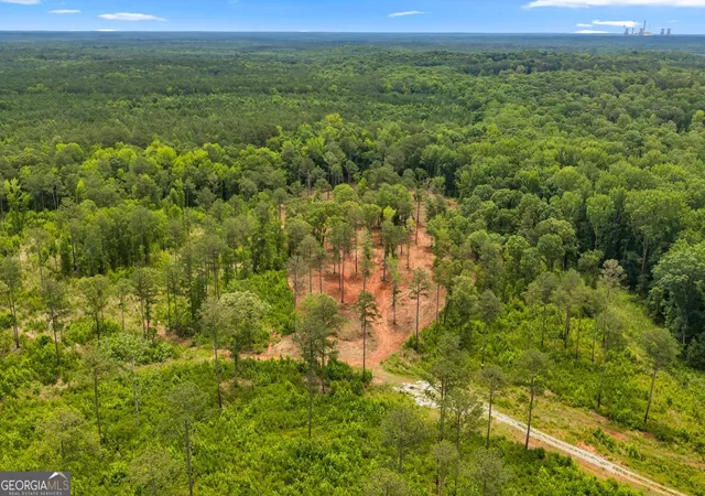 19th image of 41 Pine Meadow Trl, Forsyth, GA 31029 | MLS# 10792427