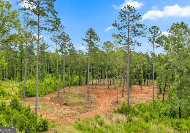 2nd image of 41 Pine Meadow Trl, Forsyth, GA 31029 | MLS# 10792427