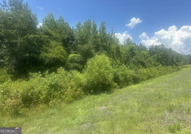 1st image of 1475 Old Us Hwy Hwy 1, Wadley, GA 30477 | MLS# 10804988