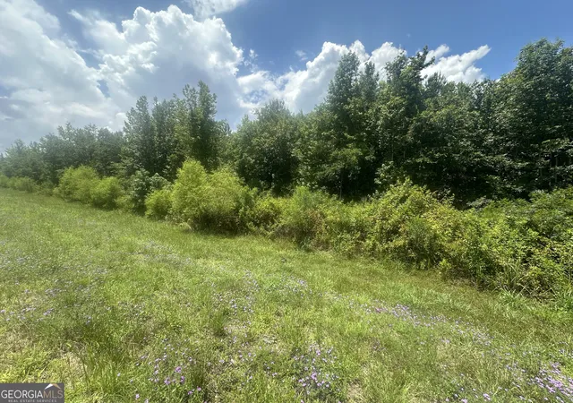 2nd image of 1475 Old Us Hwy Hwy 1, Wadley, GA 30477 | MLS# 10804988