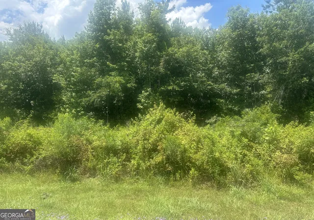 Photo 3 of Land for sale at 1475 Old Us Hwy 1, Wadley, GA 30477 | MLS# 10804988 | Listing updated on 2026-07-28