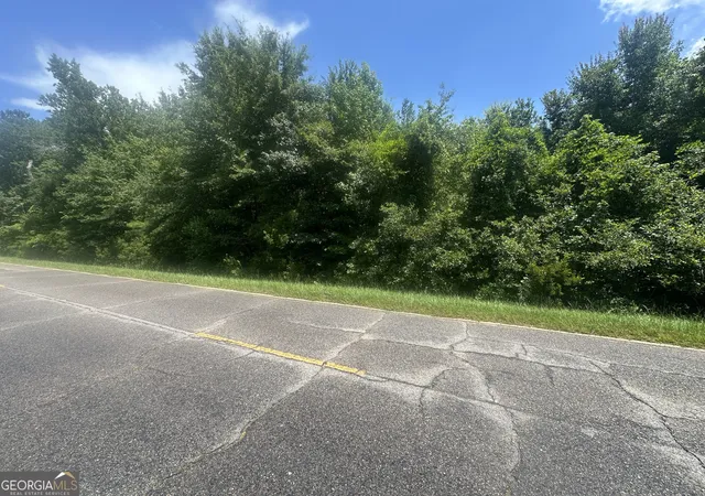 9th image of 1475 Old Us Hwy Hwy 1, Wadley, GA 30477 | MLS# 10804988