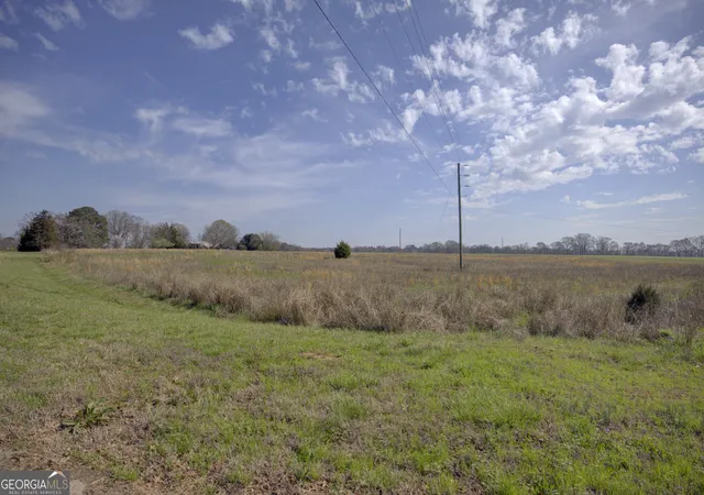 3rd image of 0 Broughton Rd, Madison, GA 30650 | MLS# 10705080