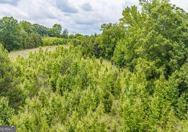 22nd image of 000 Washington Hwy, Union Point, GA 30669 | MLS# 10686255