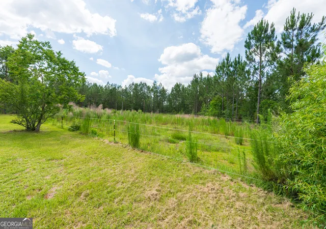 Homes for sale in Mershon, GA | 2559 Tabby Rd, Mershon, GA 31551 | MLS# 10780812