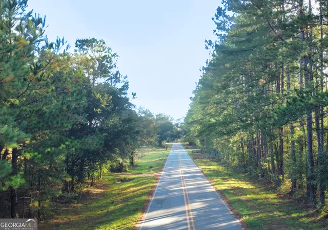 Homes for sale in Claxton, GA | 0 Mosley Rd, Claxton, GA 30417 | MLS# 10779556