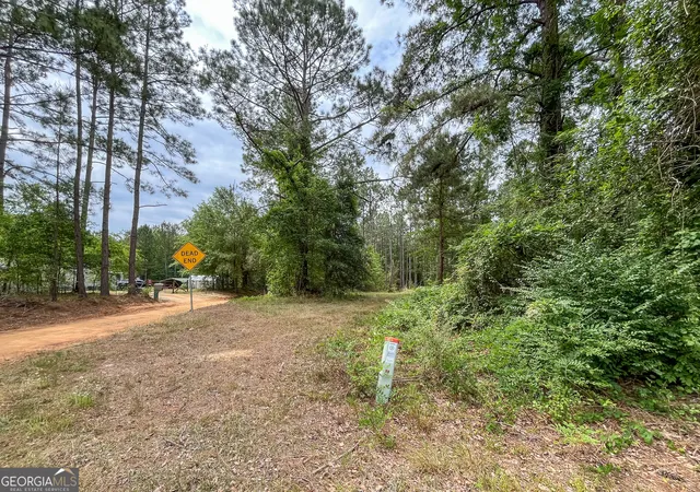 Homes for sale in Claxton, GA | 0 Mosley Rd, Claxton, GA 30417 | MLS# 10779556