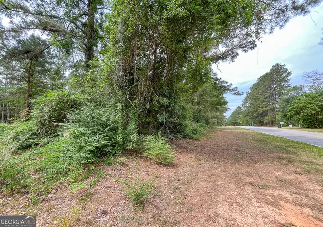 Homes for sale in Claxton, GA | 0 Mosley Rd, Claxton, GA 30417 | MLS# 10779556