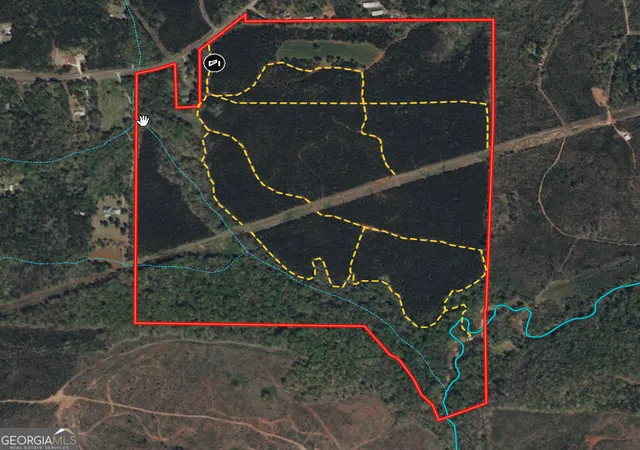 Land for sale at 180.14 Ac Johnson Mill Rd, Hamilton, GA 31811 | MLS# 10831196