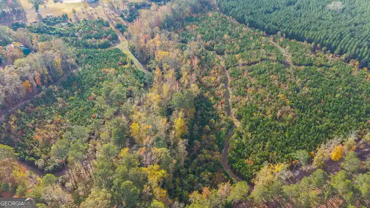 Photo 1 of Land for sale at 0 Bremen Mt Zion Rd, Waco, GA 30182 | MLS# 10881999 | Listing updated on 2026-10-30