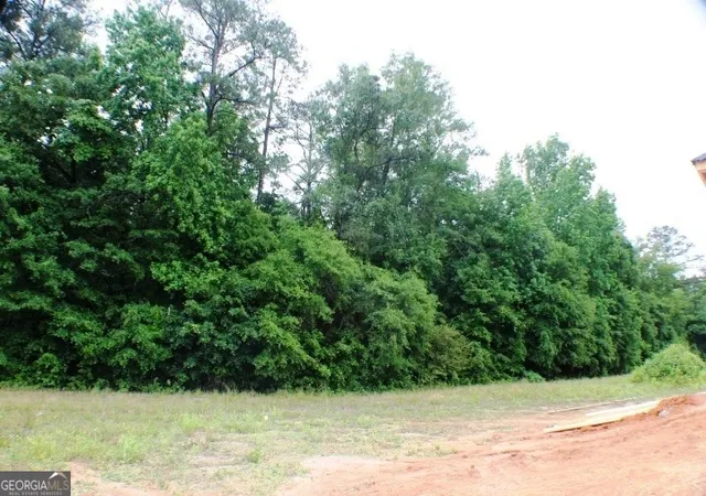 5th image of 1224 Snow Hill Road, Cadwell, GA 31009 | MLS# 10780716