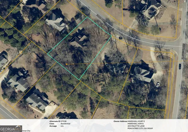 Homes for sale in Peachtree City, GA | 205 Palette Ln, Peachtree City, GA 30269 | MLS# 10716659