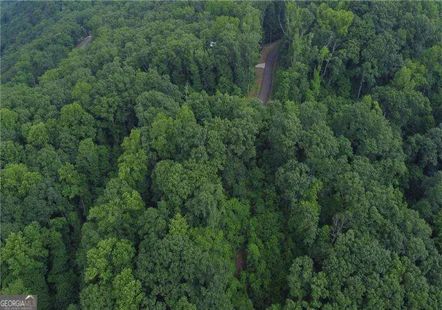2nd image of 288 Andes Ridge Pkwy #LOT 288, Jasper, GA 30143 | MLS# 10810799