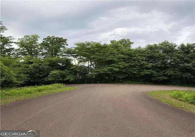 3rd image of 288 Andes Ridge Pkwy #LOT 288, Jasper, GA 30143 | MLS# 10810799