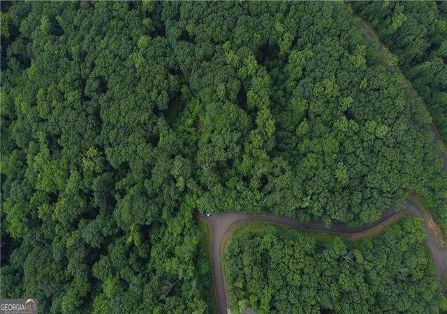 4th image of 288 Andes Ridge Pkwy #LOT 288, Jasper, GA 30143 | MLS# 10810799