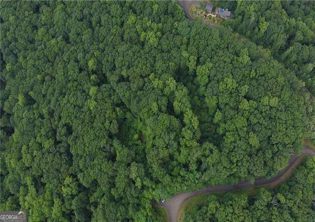 5th image of 288 Andes Ridge Pkwy #LOT 288, Jasper, GA 30143 | MLS# 10810799