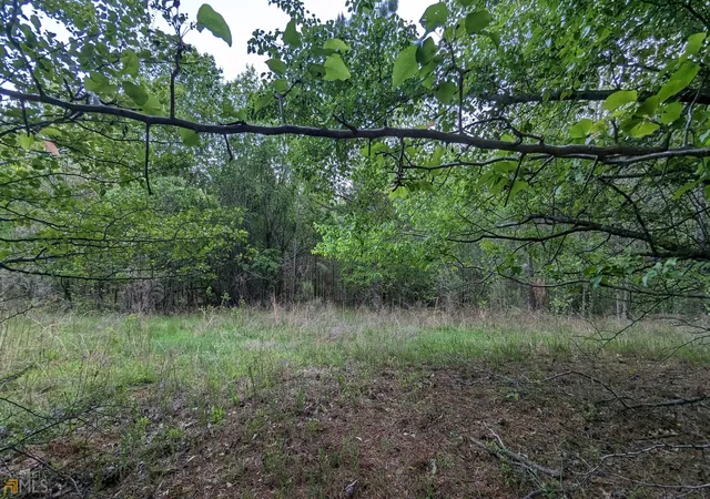 Photo 9 of Land for sale at 7490 Butner Rd, Fairburn, GA 30213 | MLS# 10830164 | Listing updated on 2026-08-31