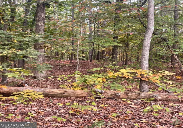Photo 2 of Land for sale at 41 Foxfire Ln, Cartersville, GA 30120 | MLS# 10455156 | Listing updated on 2026-08-05