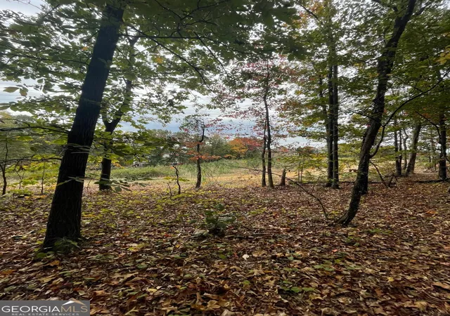 Photo 3 of Land for sale at 41 Foxfire Ln, Cartersville, GA 30120 | MLS# 10455156 | Listing updated on 2026-08-05