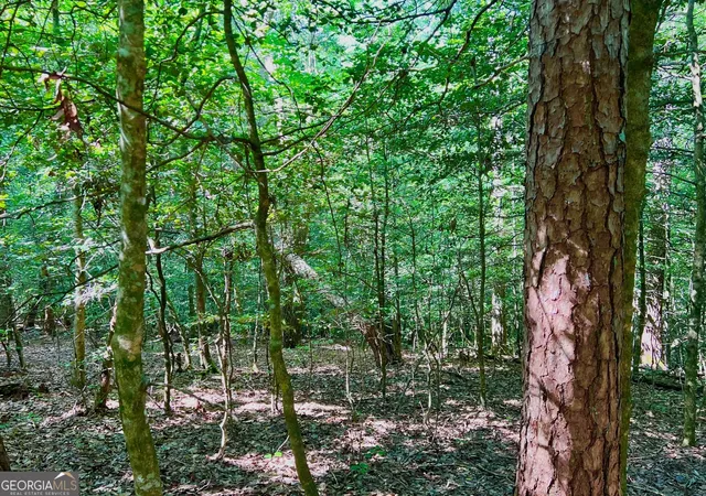 Photo 3 of Sale Pending at Trak 2 Afton Rd, Dawsonville, GA 30534 | MLS# 10825501 | Listing updated on 2026-10-07