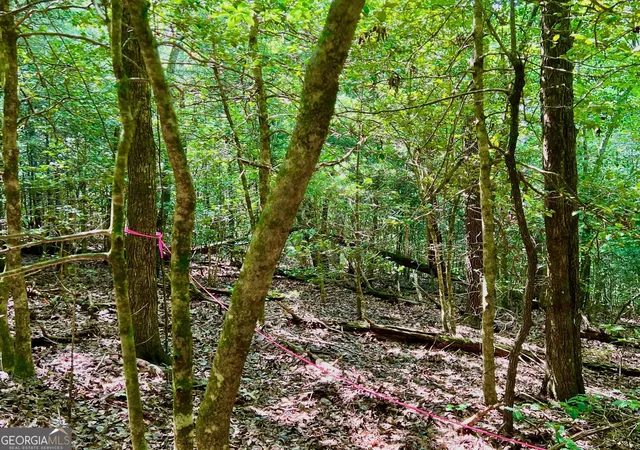 Photo 4 of Sale Pending at Trak 2 Afton Rd, Dawsonville, GA 30534 | MLS# 10825501 | Listing updated on 2026-10-07