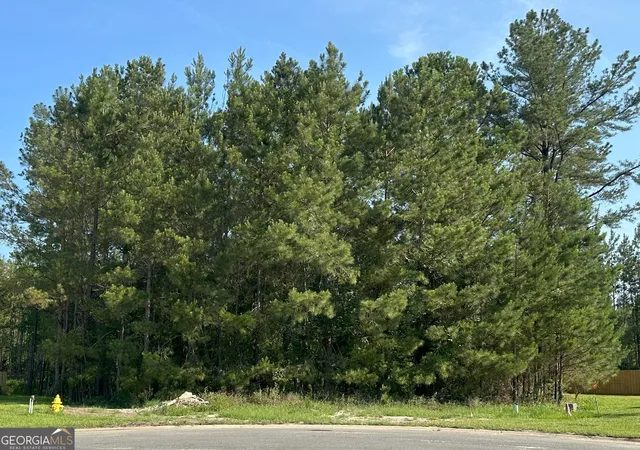 Homes for sale in Kingsland, GA | 208 Starboard Ct, Kingsland, GA 31548 | MLS# 10559495