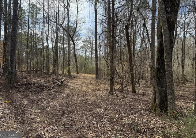 Homes for sale in Lagrange, GA | 45 Acres Whatley Rd N, Lagrange, GA 30240 | MLS# 10791699