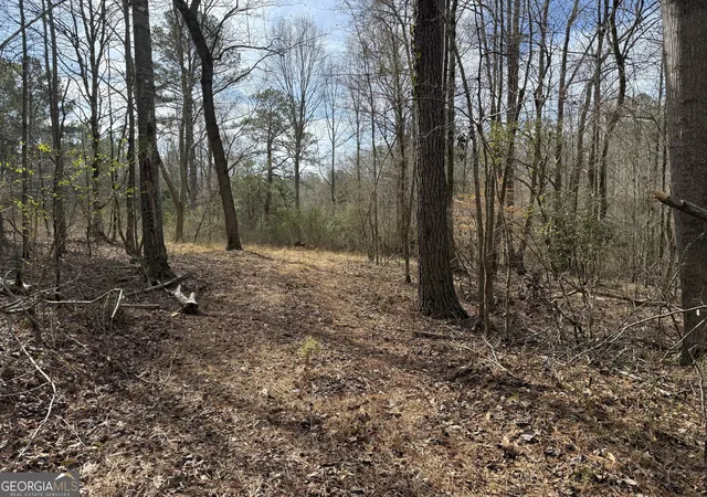 Homes for sale in Lagrange, GA | 45 Acres Whatley Rd N, Lagrange, GA 30240 | MLS# 10791699