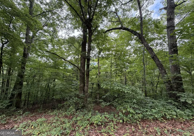 Photo 1 of Land for sale at 463 Twiggs Rd, Hiawassee, GA 30546 | MLS# 10836243 | Listing updated on 2026-09-14