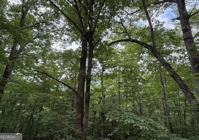 Photo 2 of Land for sale at 463 Twiggs Rd, Hiawassee, GA 30546 | MLS# 10836243 | Listing updated on 2026-09-14