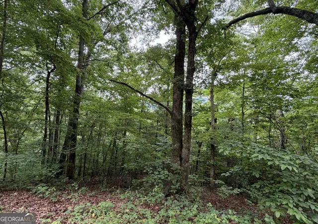 Photo 2 of Land for sale at 463 Twiggs Rd, Hiawassee, GA 30546 | MLS# 10836243 | Listing updated on 2026-09-14