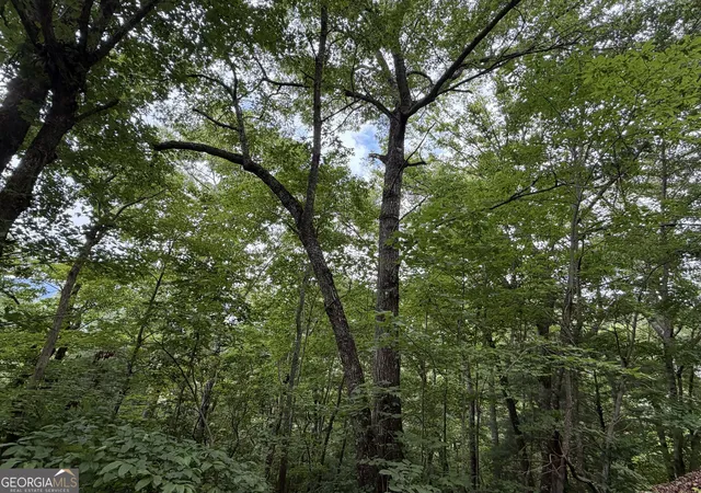 Photo 3 of Land for sale at 463 Twiggs Rd, Hiawassee, GA 30546 | MLS# 10836243 | Listing updated on 2026-09-14
