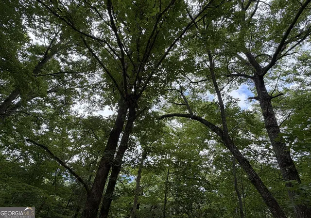 Photo 4 of Land for sale at 463 Twiggs Rd, Hiawassee, GA 30546 | MLS# 10836243 | Listing updated on 2026-09-14