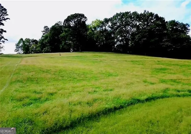 11th image of 264 Lagree Duck Rd, Braselton, GA 30517 | MLS# 10780988