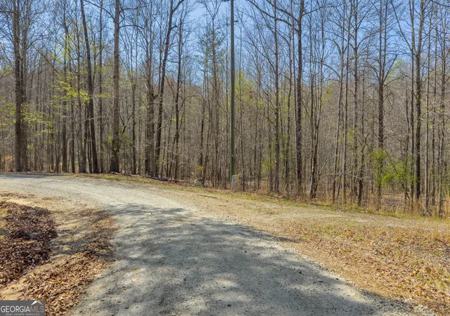16th image of 300 Rolling Rock Rd, Carnesville, GA 30521 | MLS# 10716276